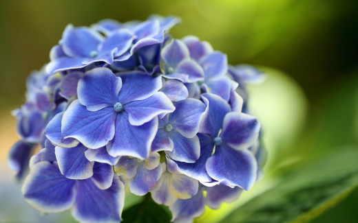 1182554 (a): :2880x1800